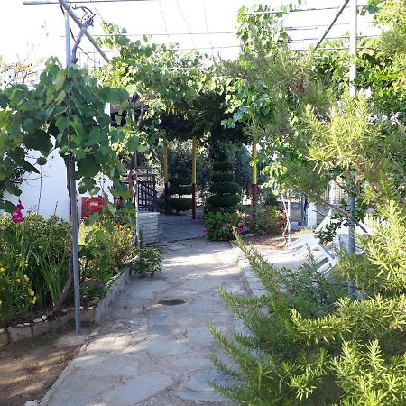 Studio Zoi Villa Aliki  Luaran gambar