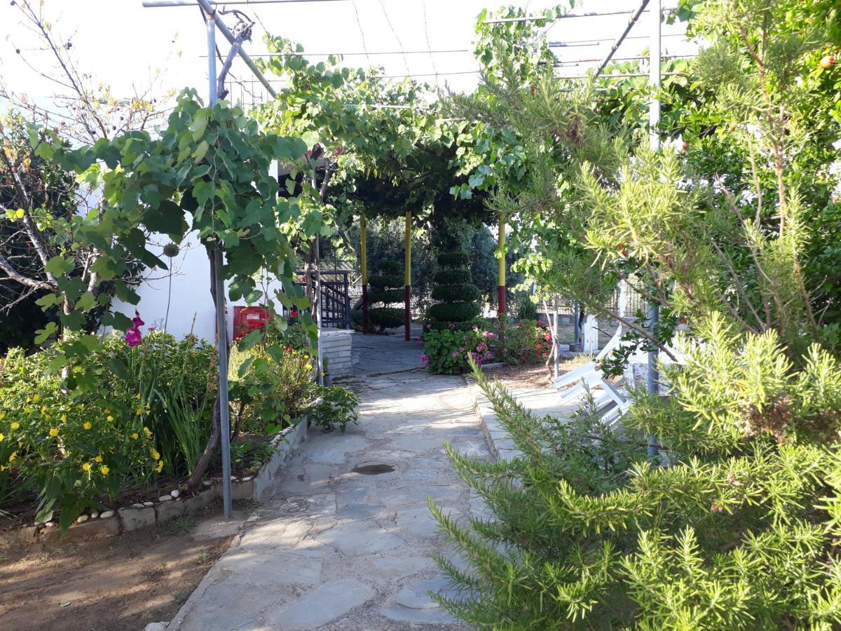 Studio Zoi Villa Aliki  Luaran gambar